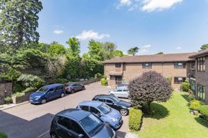 Photo 9- click for photo gallery